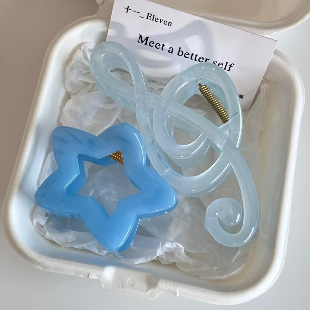 Hair Clip Claw Large - 2 fermagli per capelli eleganti blu