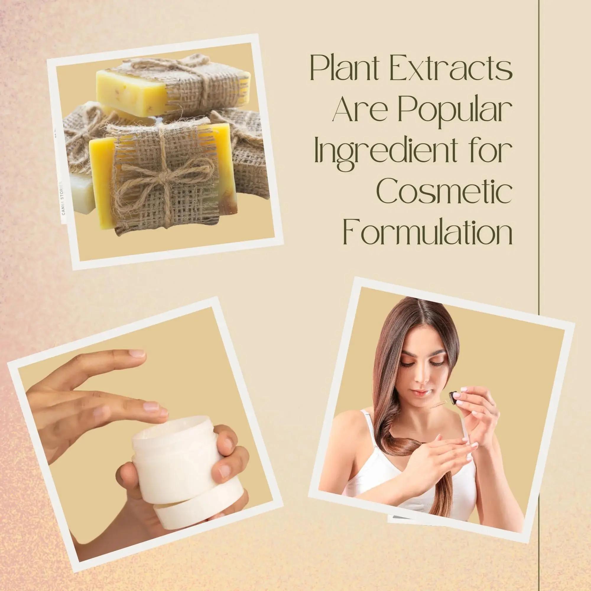 Estratto di Soapberry di alta  - Hair Care For Hair Loss recensione e prezzo