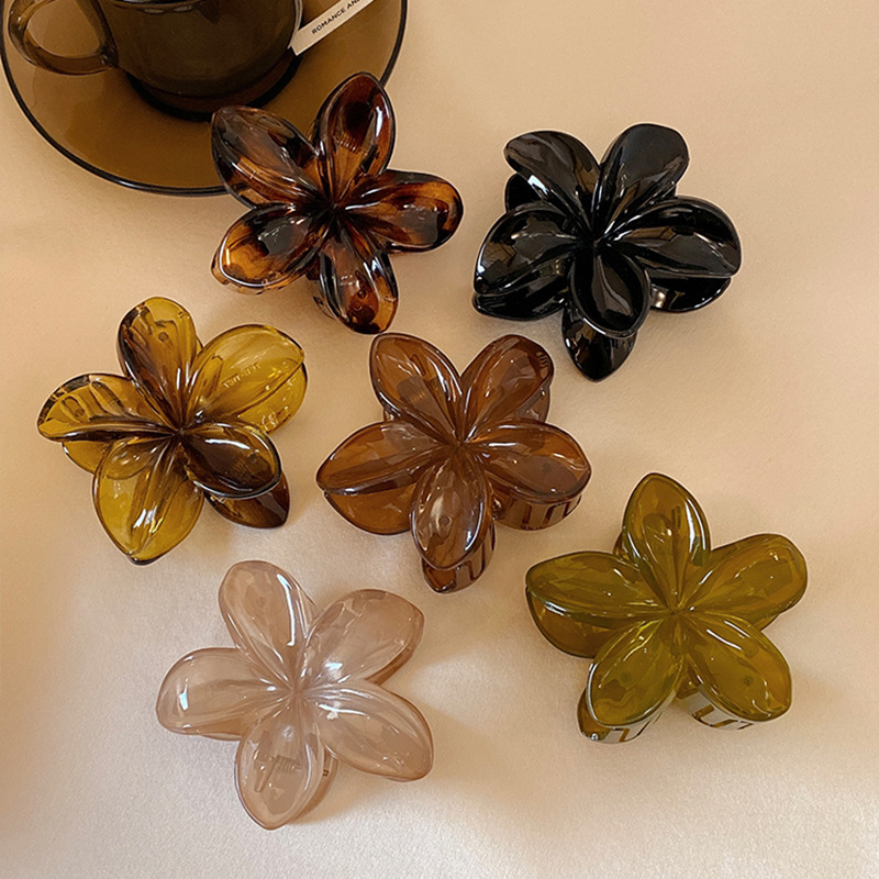 Fermagli per Capelli da Donna  - Hair Clip Claw Large recensione e prezzo