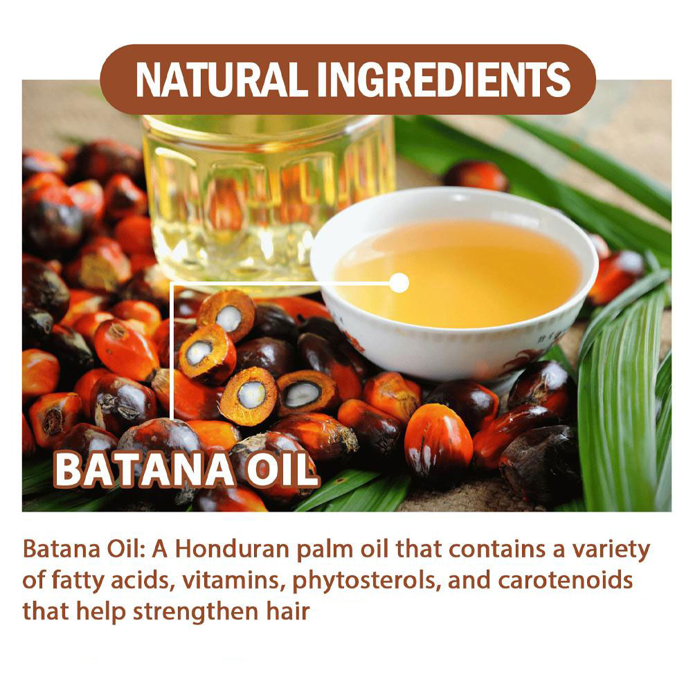 Olio di Batana biologico puro  - Hair Care Gisou recensione e prezzo